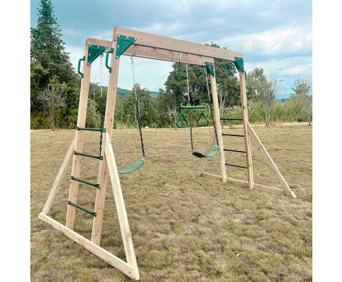 Lifespan Kids Daintree 2-in-1 Monkey Bars & Swing Set